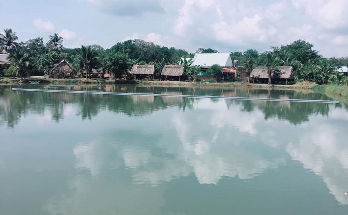 Các địa điểm câu cá giải trí ở Sài Gòn - khu câu Đồng Diều
