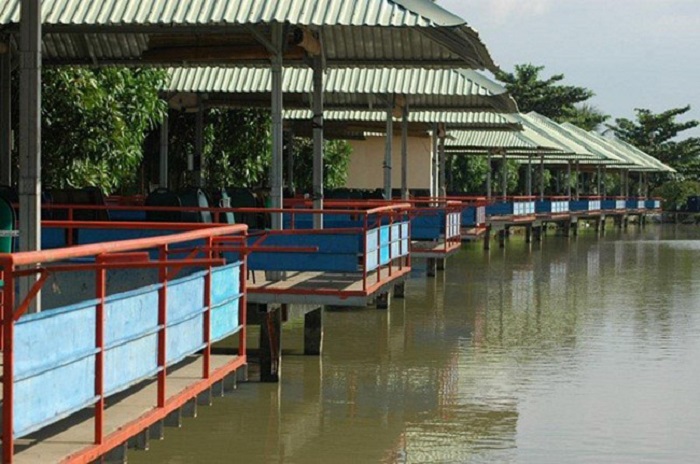 Các địa điểm câu cá giải trí ở Sài Gòn - khu câu Thành Long