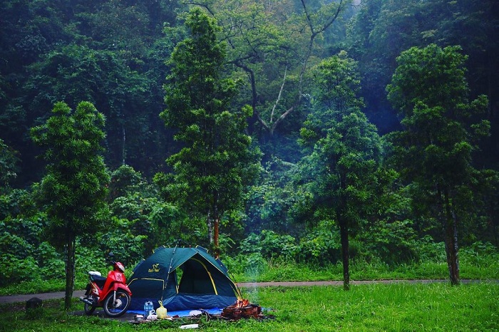 Cúc Phương là một trong những vườn quốc gia đẹp ở Việt Nam