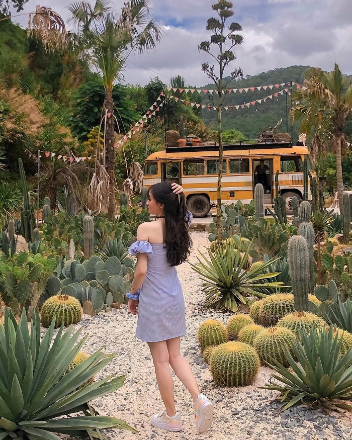 Kombi Land is home to a beautiful virtual cactus garden