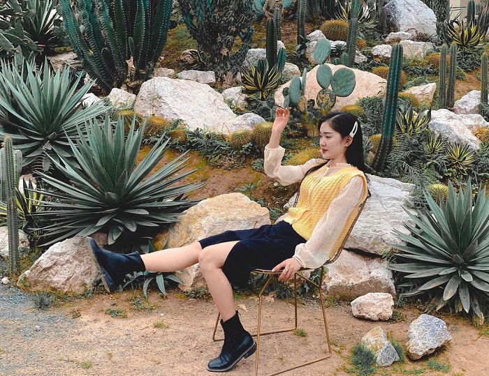 Cacti Zone là nơi có vườn xương rồng sống ảo đẹp
