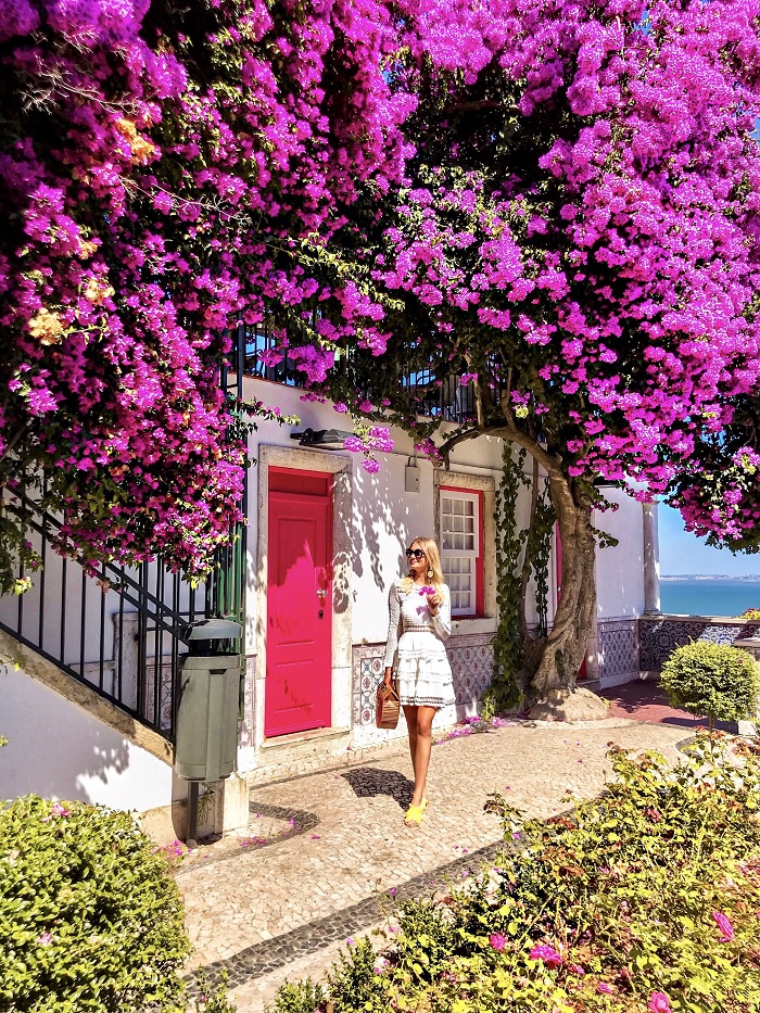 Vùng Alfama -  Du lịch Lisbon