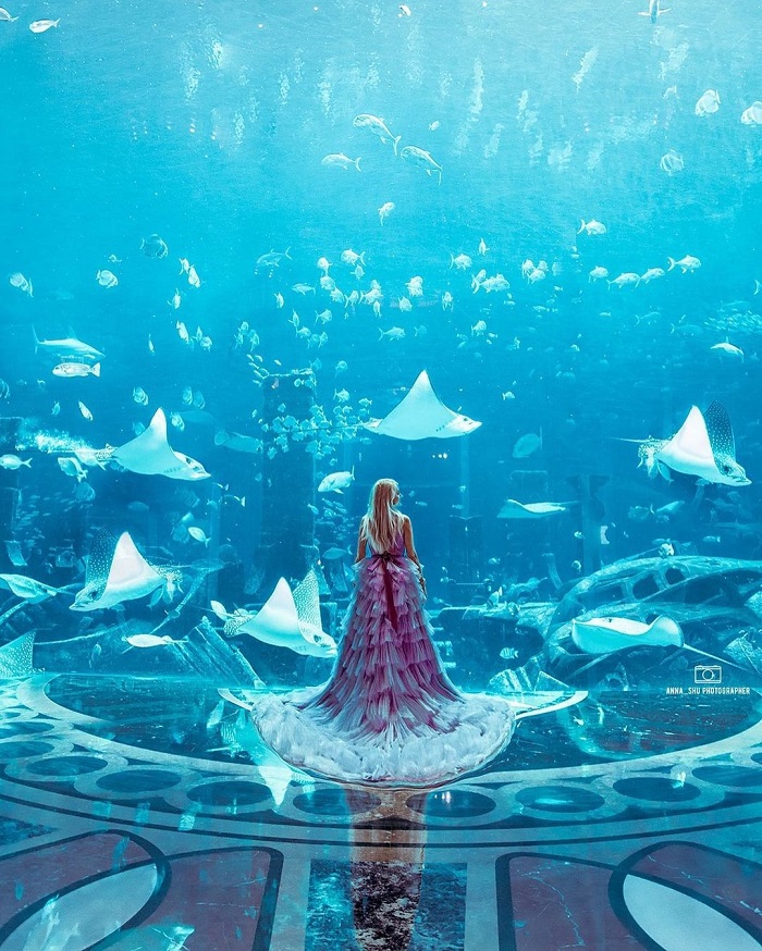 Một thủy cung với 65.000 động vật biển - khách sạn đẹp nhất ở Trung Đông