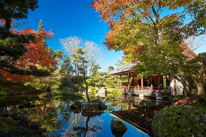 Vườn Nhật Bản Hamilton Gardens Waikato là một trong những khu vườn Nhật Bản đẹp trên thế giới