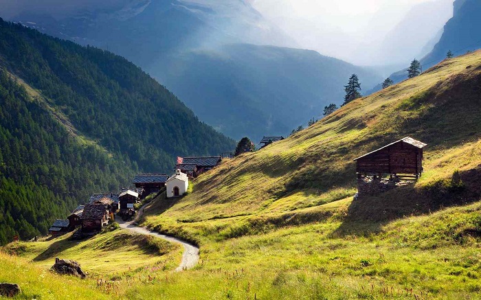 Những đồng cỏ núi cao là môi trường tuyệt vời để có phô mai ngon nhất thế giới - Phô mai Thụy Sĩ