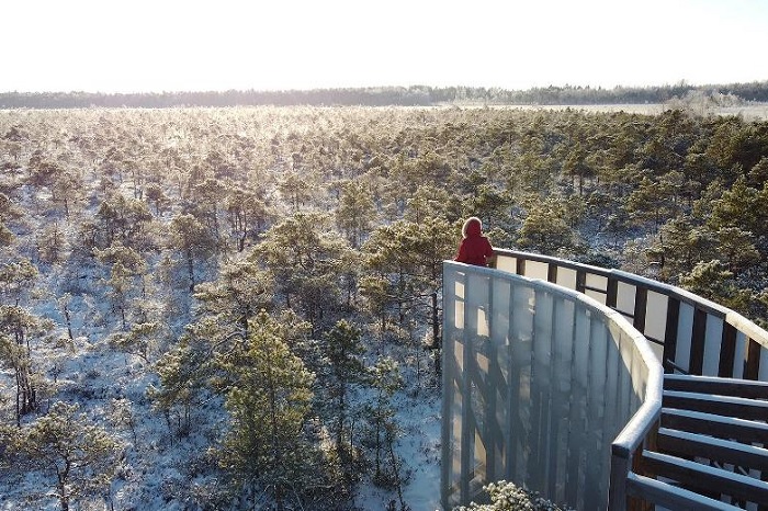 Đầm lầy Oidrema-Tuhu - du lịch Estonia