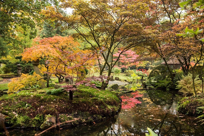 Vườn Nhật Bản trong công viên Clingendael The Hague là một trong những khu vườn Nhật Bản đẹp trên thế giới