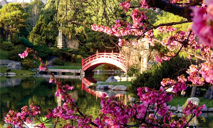 Vườn Jardin Japones là một trong những khu vườn Nhật Bản đẹp trên thế giới