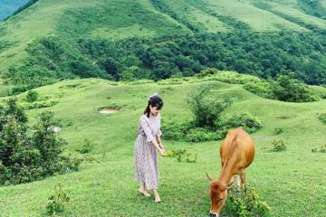 Phát hiện đồi cỏ Lủng Tráng xanh ngát một màu giữa huyện Ba Bể 
