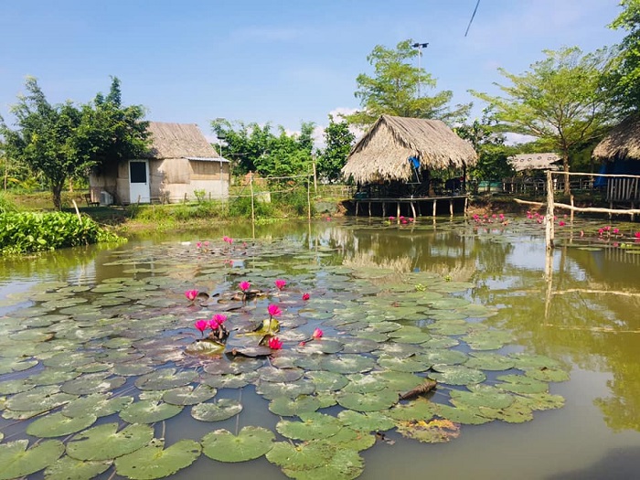 Vườn sinh thái câu cá Ngô Đồng - tham quan