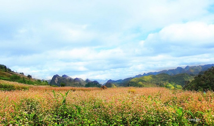 Lũng Táo Hà Giang