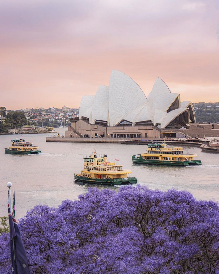 Sydney là một trong những bến cảng đẹp nhất thế giới sở hữu cảnh sắc ấn tượng