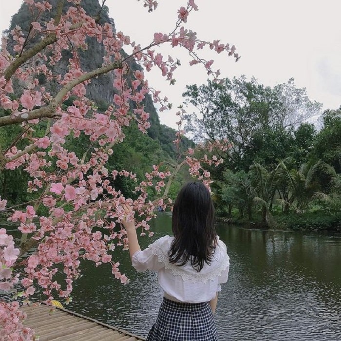 Thanh Hoa travel in winter - beautiful landscape