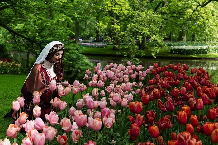 Mùa hoa tulip Hà Lan là mùa hoa đẹp ở châu Âu mang đến nhiều trải nghiệm cho du khách