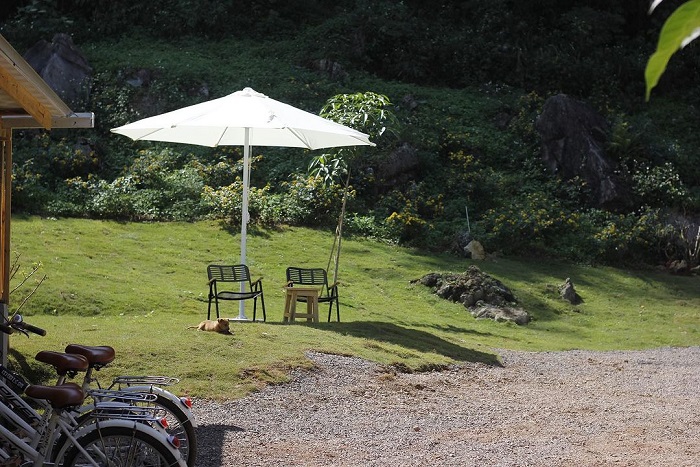 Moc Chau Golden Flower Camp with peaceful small corners