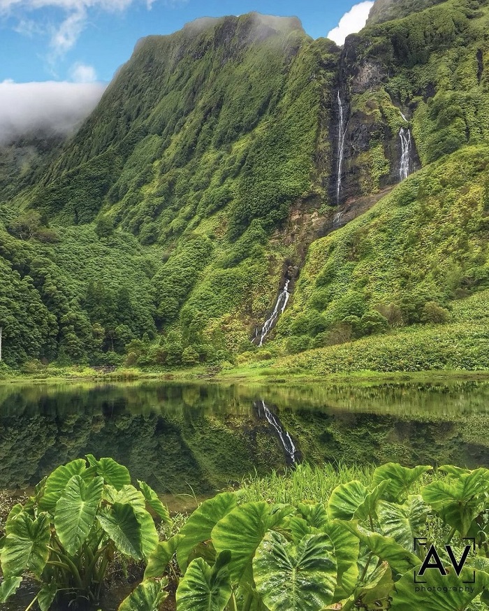 Thác nước trên đảo Flores - Kinh nghiệm du lịch Azores