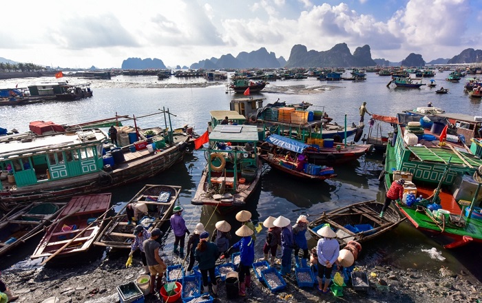 chợ hải sản ở Quảng Ninh - Chợ cá Bến Do