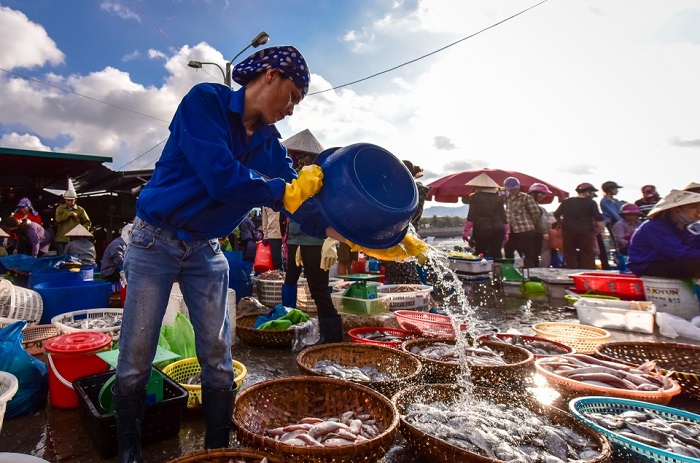 chợ hải sản ở Quảng Ninh - Chợ cá Bến Do