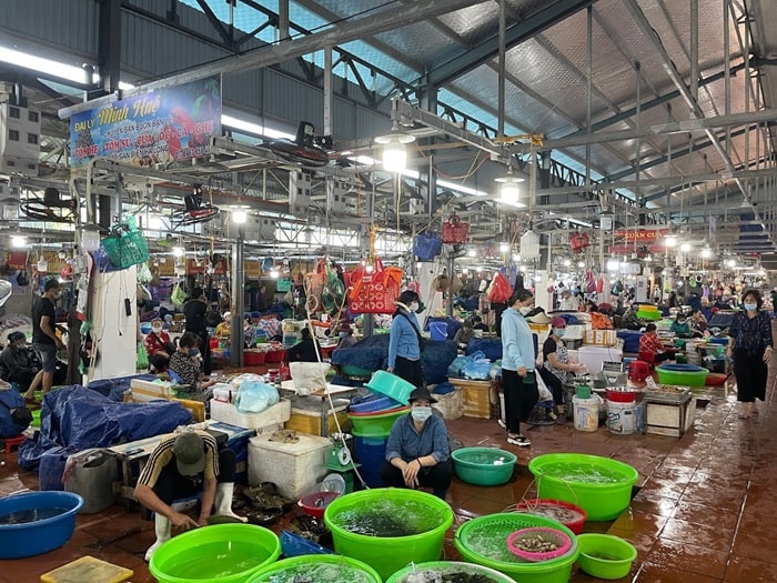 chợ hải sản ở Quảng Ninh - Chợ hải sản Hạ Long I