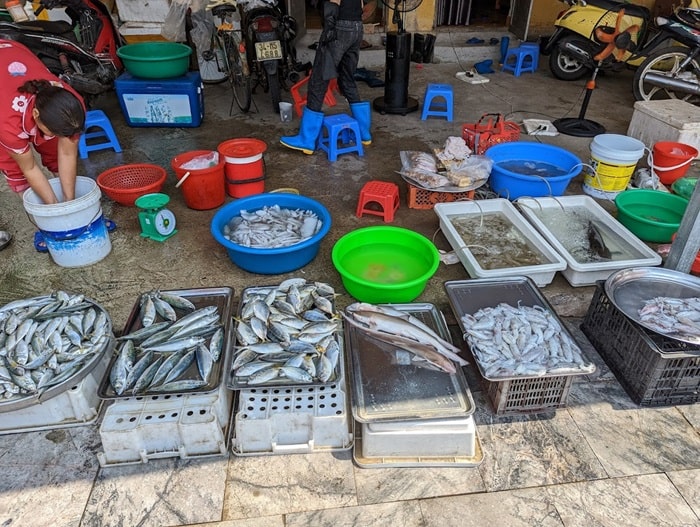 chợ hải sản ở Quảng Ninh - Chợ hải sản Hùng Thắng