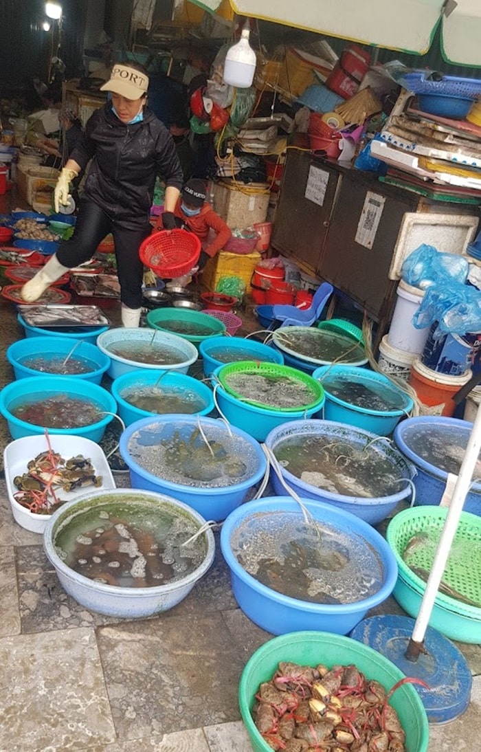 chợ hải sản ở Quảng Ninh - Chợ hải sản Hùng Thắng