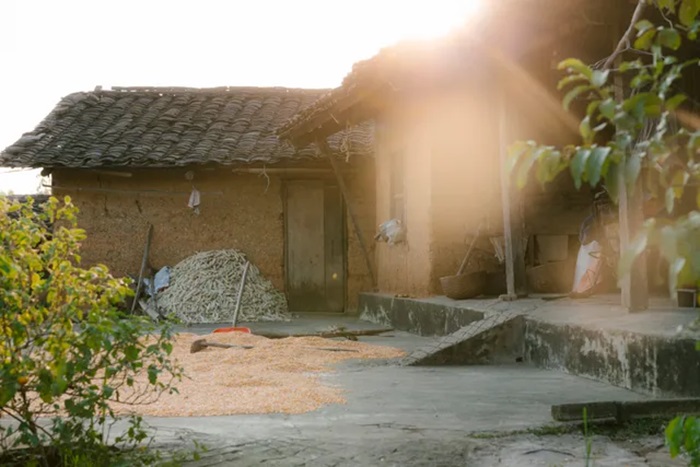 làng cổ Bắc Hoa Lục Ngạn Bắc Giang - kiến trúc