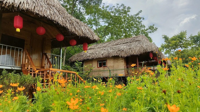 Ngự Hoa Viên Thái Nguyên tràn ngập sắc hoa