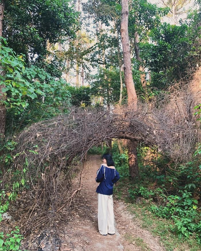 thác nước ở Tam Đảo - Thác Thậm Thình