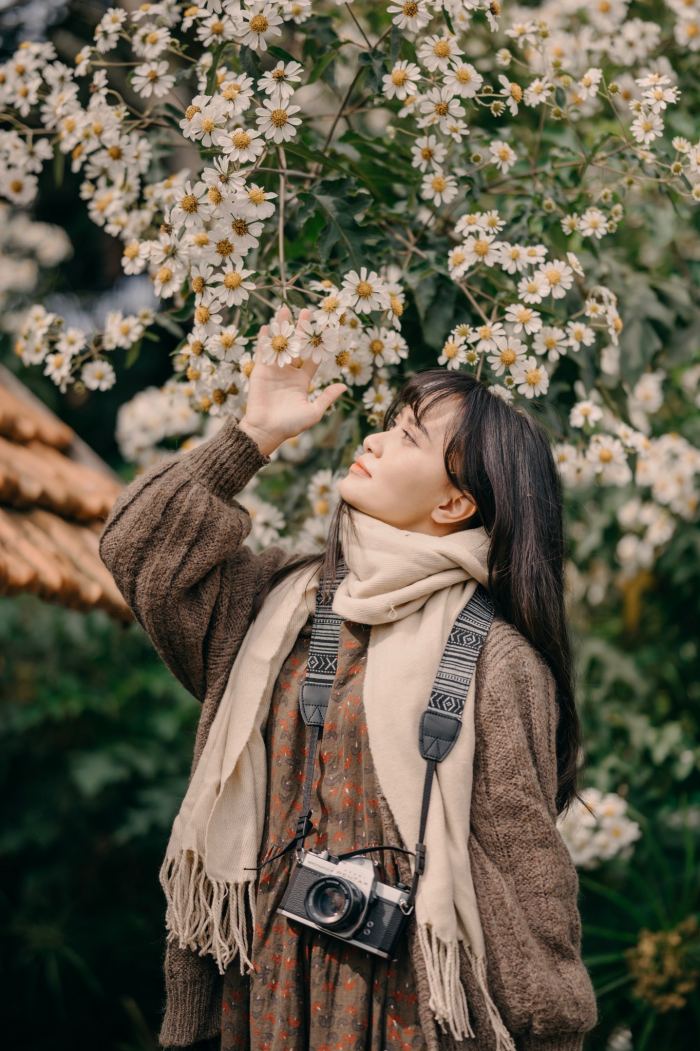 ngắm p hoa dã quỳ trắng Đà Lạt ở Đợi Một Người