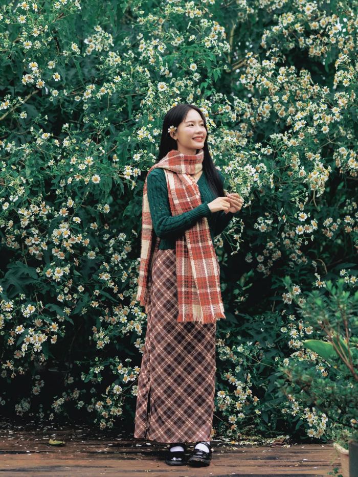 ngắm p hoa dã quỳ trắng Đà Lạt ở Đợi Một Người