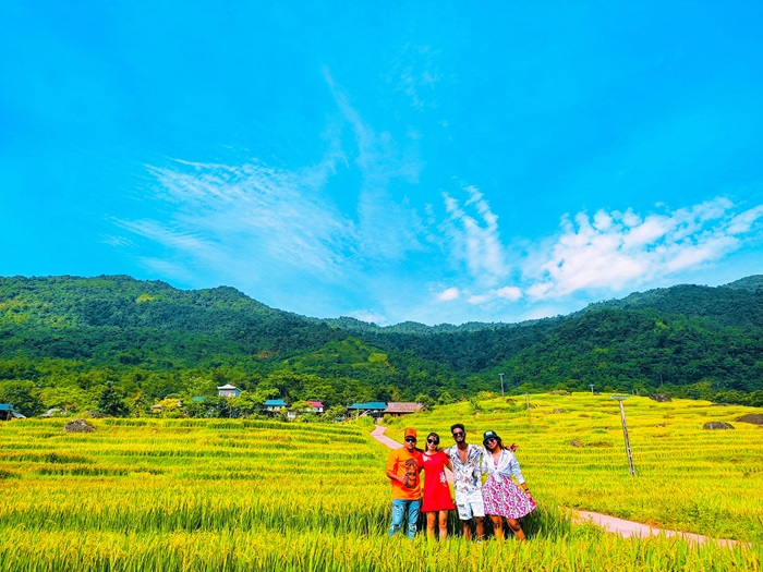 bản Báng Pù Luông Thanh Hoá - mùa lúa chín