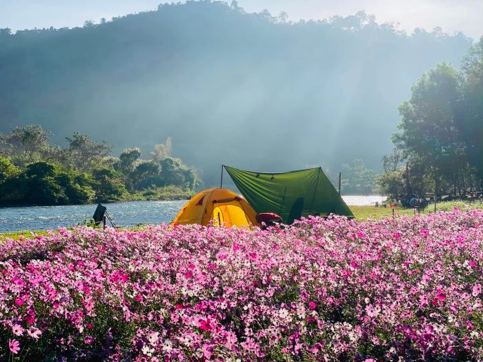 Camping ở suối La Ngâu Tánh Linh 
