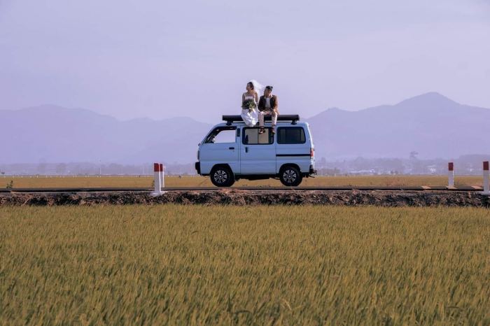 đường đến Cánh đồng lúa An Nhứt 