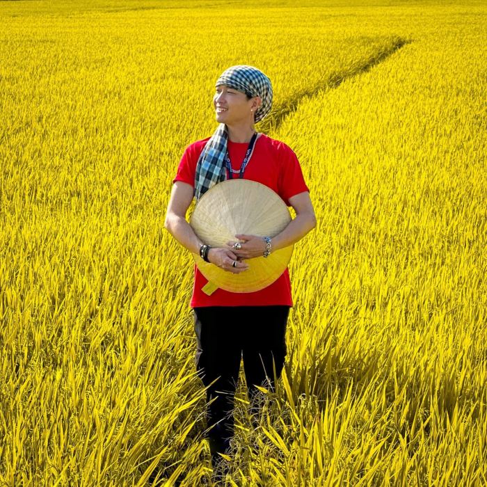 Cánh đồng lúa An Nhứt mùa check-in đẹp 