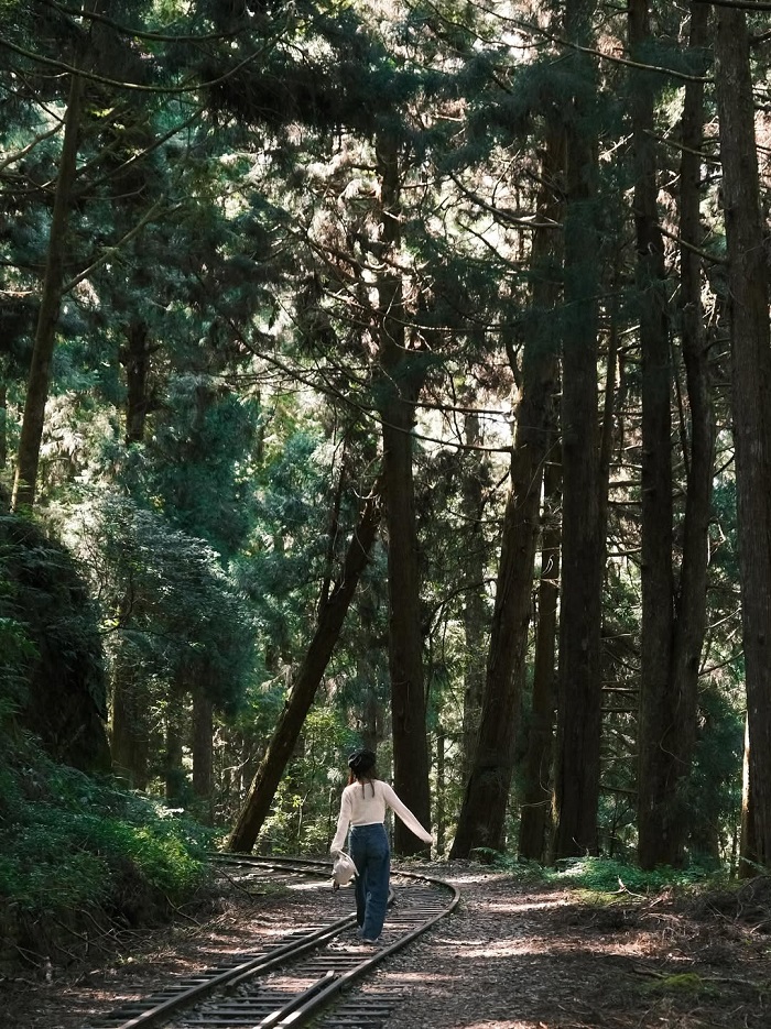 A Lý Sơn là điểm đến đẹp ở Bắc Á mang màu sắc hoang sơ thơ mộng