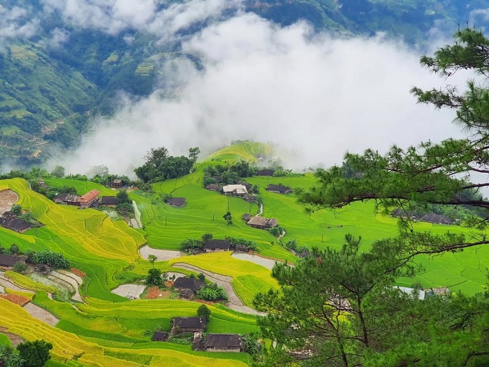 Bản Phùng là điểm săn mây ở Hà Giang đẹp ngất ngây