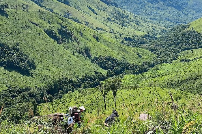 Đồi cỏ Phước Bình là một trong những đồi cỏ đẹp nhất miền Trung mùa nào cũng đẹp