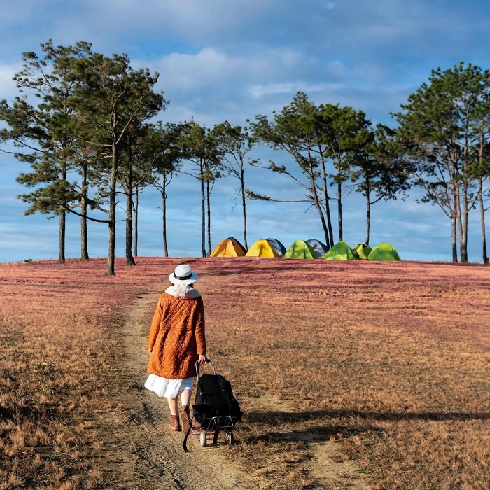 Đồi cỏ Masara là một trong những đồi cỏ đẹp nhất miền Trung nằm ở Lâm Đồng