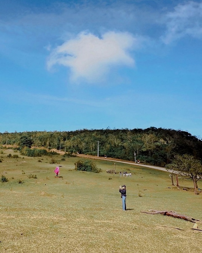 Đồi cỏ La Vuông là một trong những đồi cỏ đẹp nhất miền Trung thu hút du khách