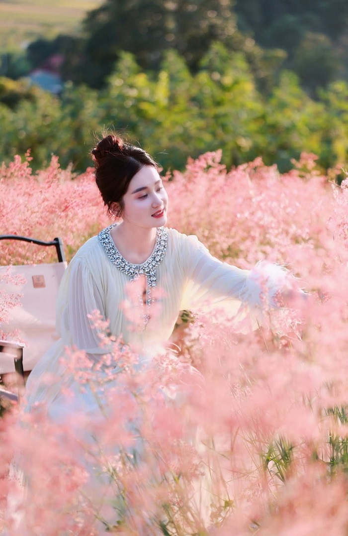 Đồi cỏ hồng Ichiban Hills Mộc Châu góc nào cũng xinh