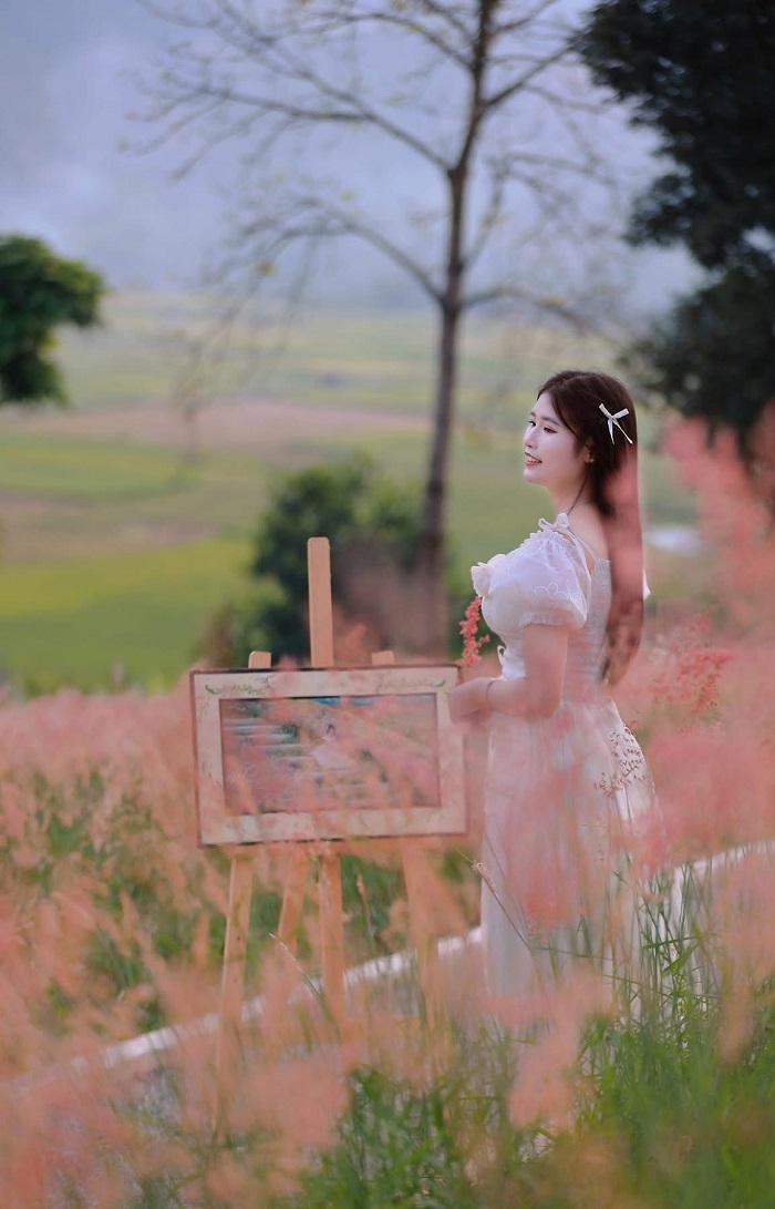 Đồi cỏ hồng Ichiban Hills Mộc Châu hấp dẫn du khách