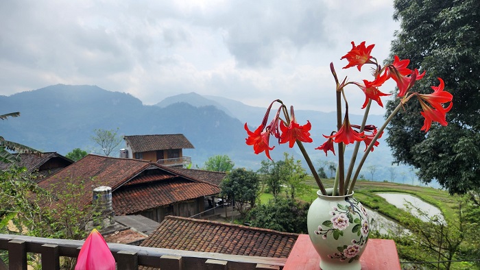 Farmstay Lê Tuyên Quang rất đáng để dừng chân