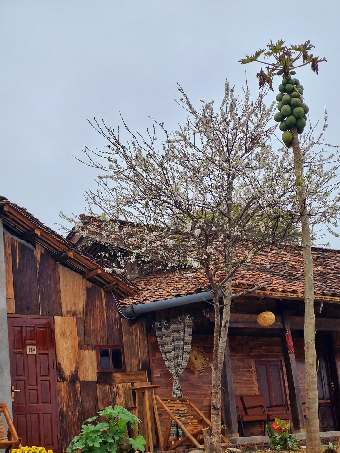 Farmstay Lê Tuyên Quang mang đến cảm giác gần gũi