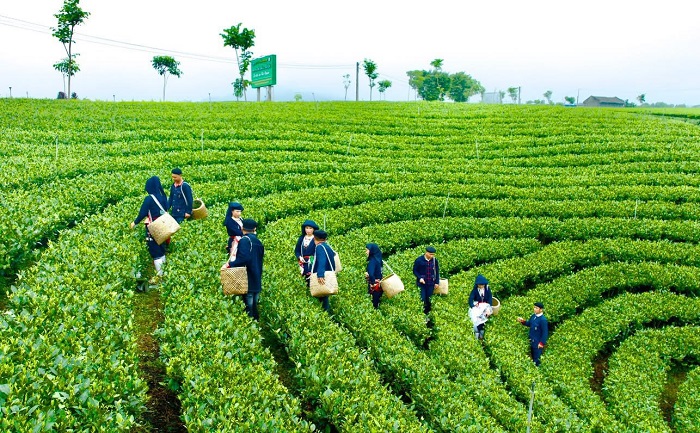 La Bằng Farmstay Thái Nguyên gần nhiều điểm đến đẹp của Đại Từ