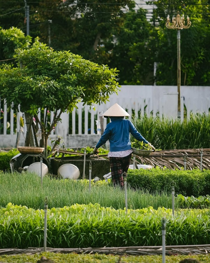Trà Quế là làng du lịch tốt nhất thế giới của Việt Nam nằm ở Quảng Nam