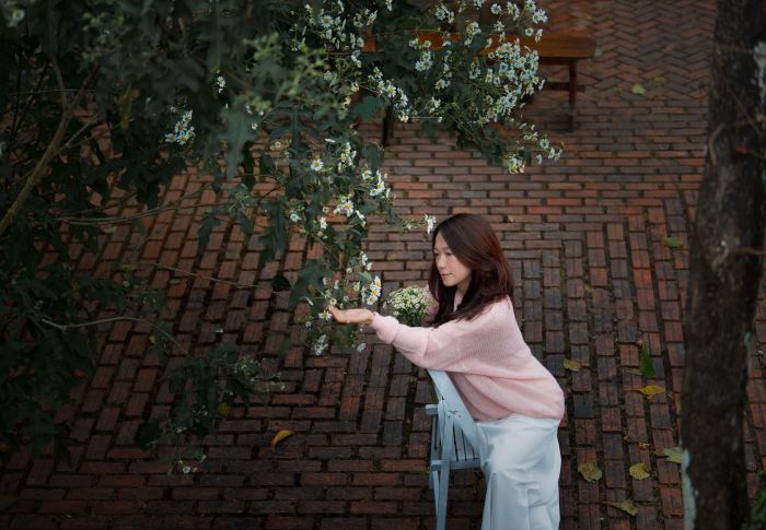 ngắm p hoa dã quỳ trắng Đà Lạt Tiệm cà phê Nhà ngoại 