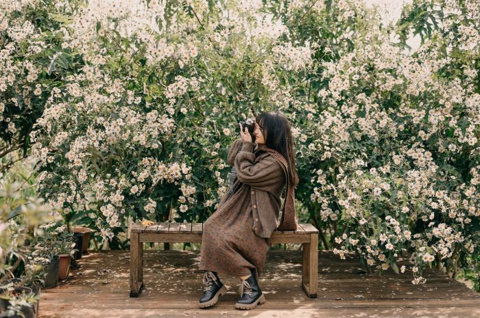 Mùa hoa dã quỳ trắng Đà Lạt 