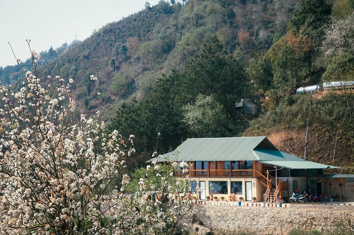 Nhà Mer Homestay Tà Xùa có vị trí đắc địa