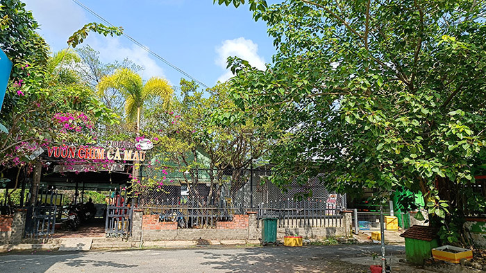 Khám phá Vườn chim Cà Mau - Nơi quy tụ hàng ngàn cá thể