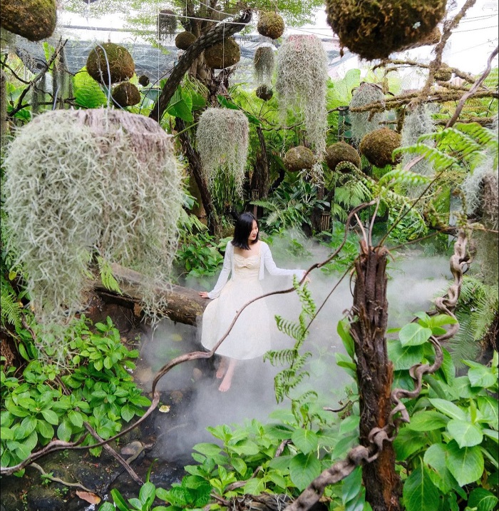 Tiệm cà phê Nọong Ơi là quán cà phê rừng nhiệt đới tuyệt đẹp ở TP.HCM